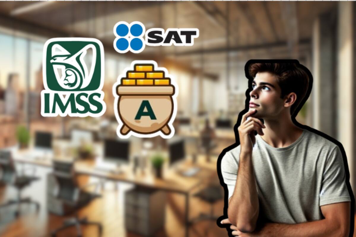 ¿Qué sigue después de tener mi primer empleo? Trámites importantes, alta en IMSS y todo lo que necesitas saber