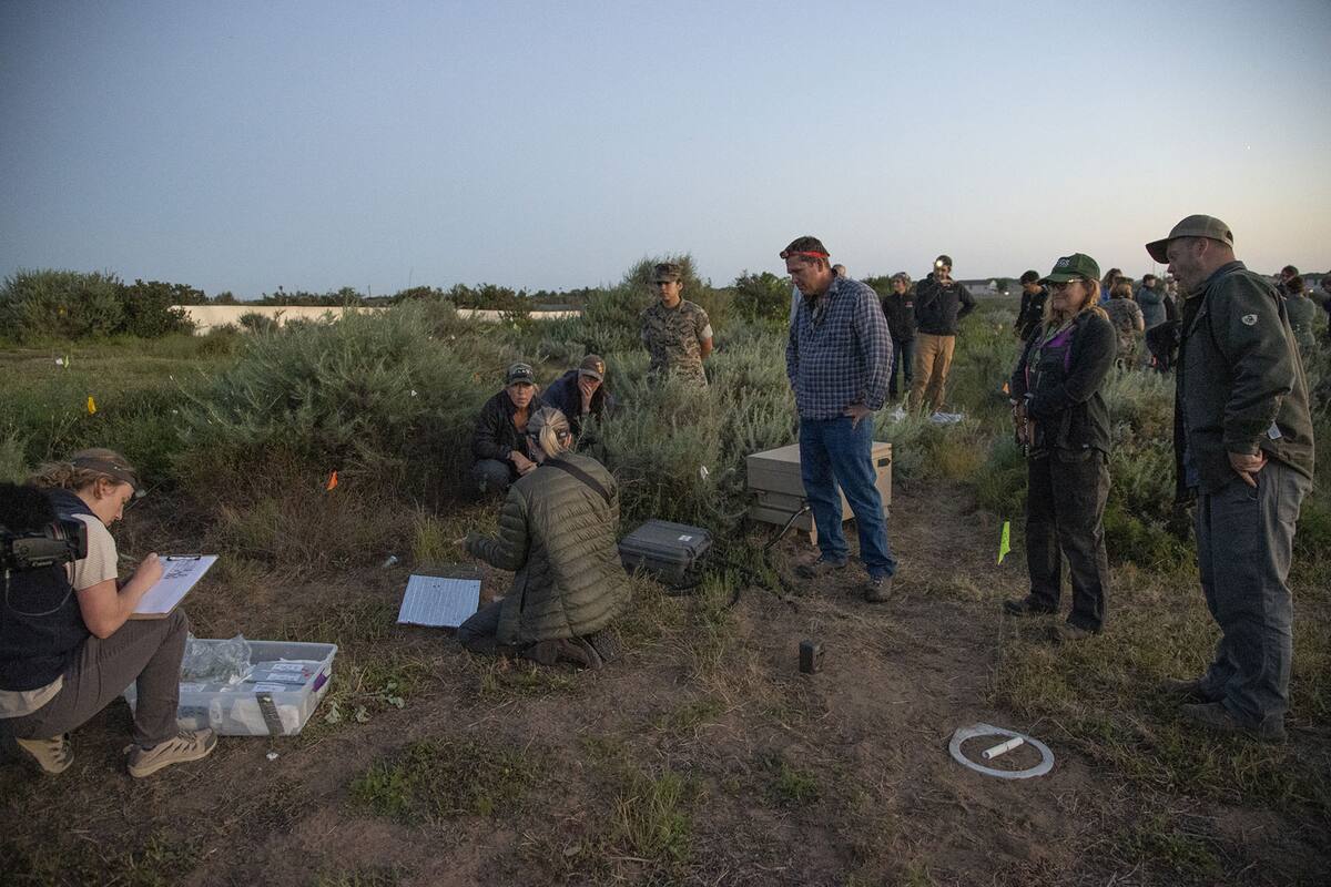La liberación de los ratones se dio en las áreas de entrenamiento activo en las Instalaciones Oeste de la Base del Cuerpo de Marines.