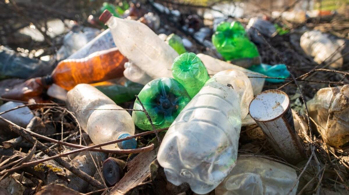 según estudios recientes, se estima que para el año 2050 podría haber más plástico que peces en el océano, si no se toman medidas significativas para reducir la producción y el consumo de plástico desechable.