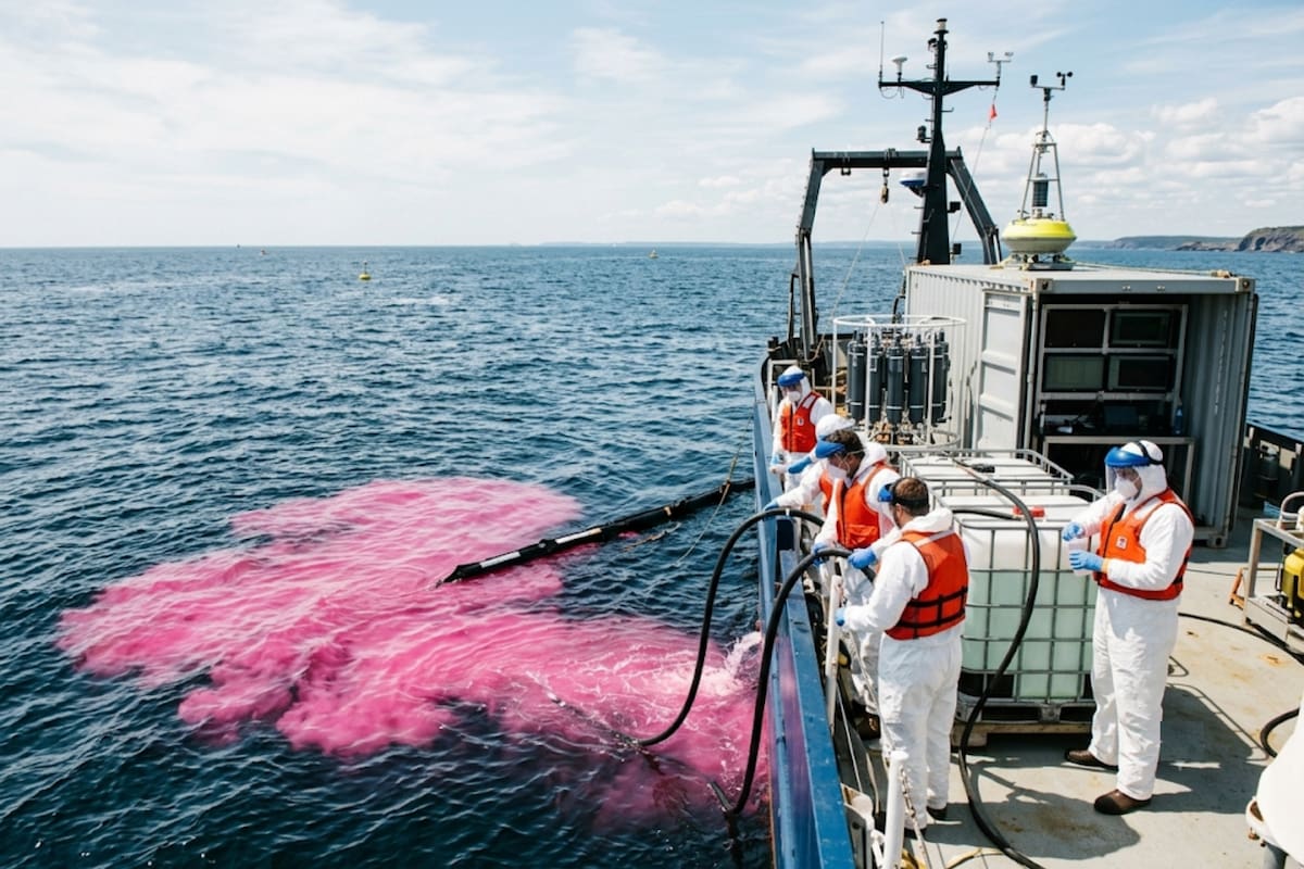 Científicos vertieron 62 mil litros de soda cáustica y tiñeron de rosa el océano para comprobar si esta tecnología puede ayudar a capturar más dióxido de carbono sin afectar la vida marina