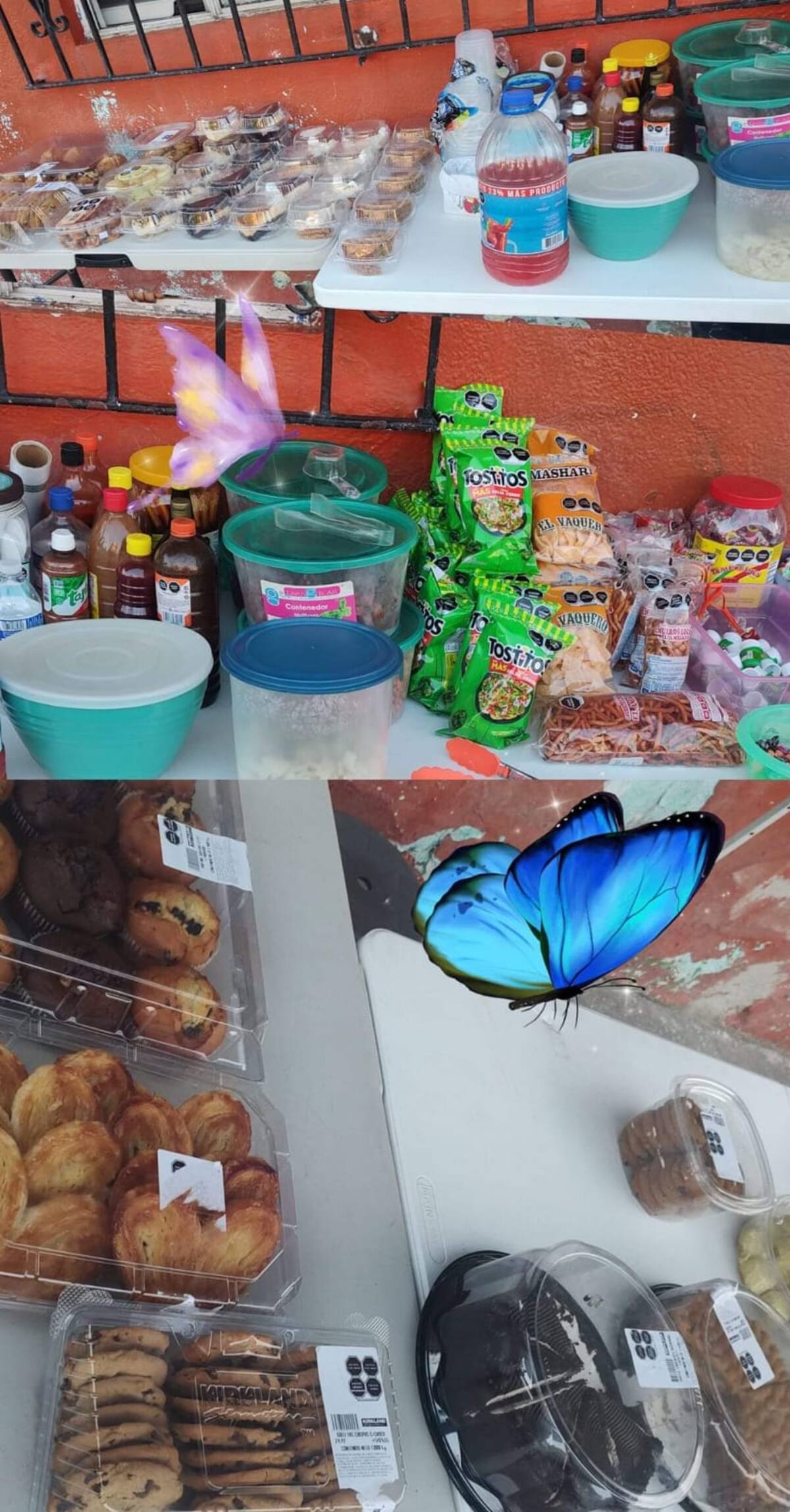 Foto: cortesía