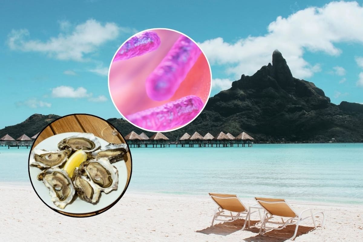 Florida reporta su primera muerte del año por bacteria devoradora de carne y las autoridades emiten recomendaciones para quienes visitan la playa