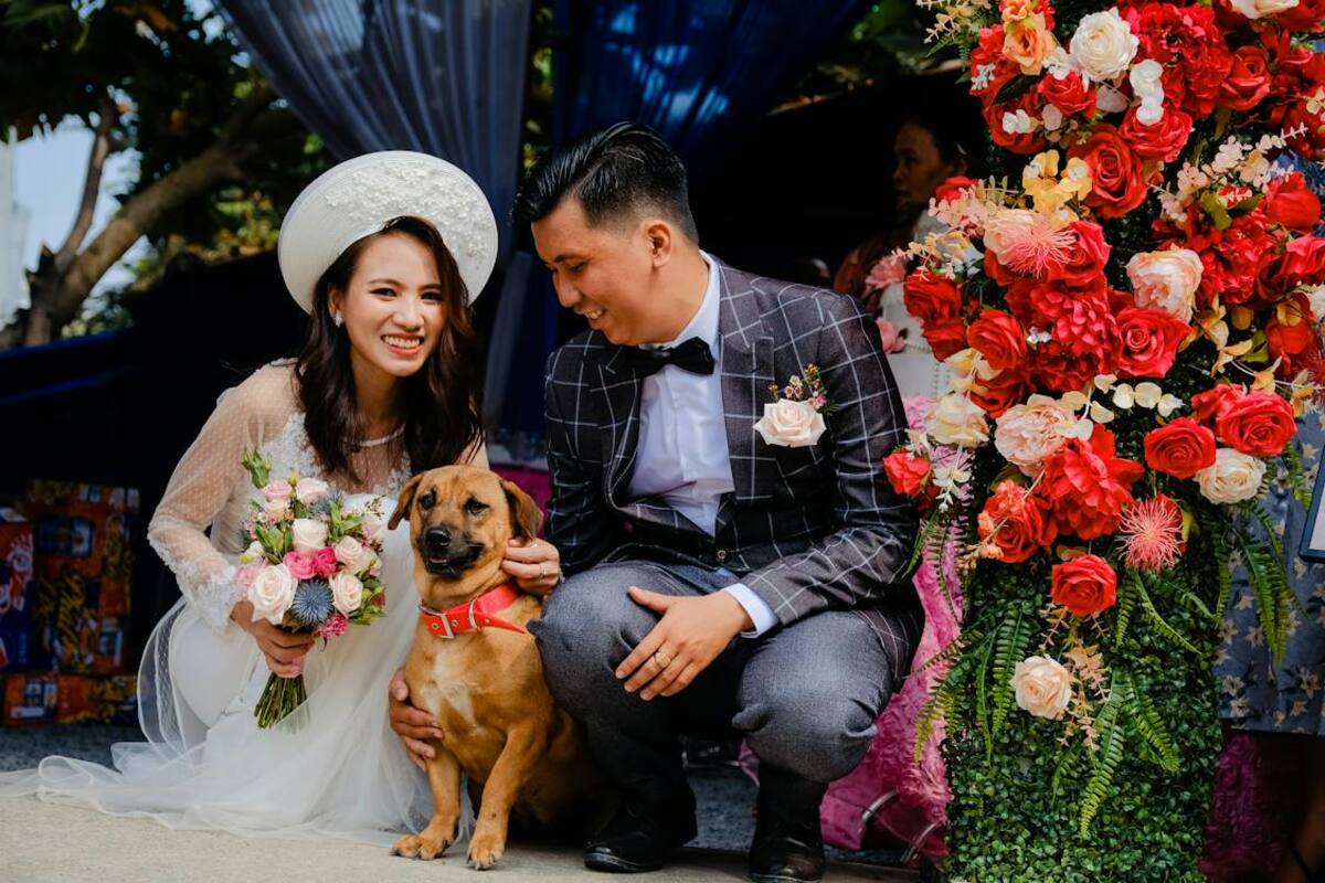 Descubre si es posible que tu mascota sea testigo en tu boda civil