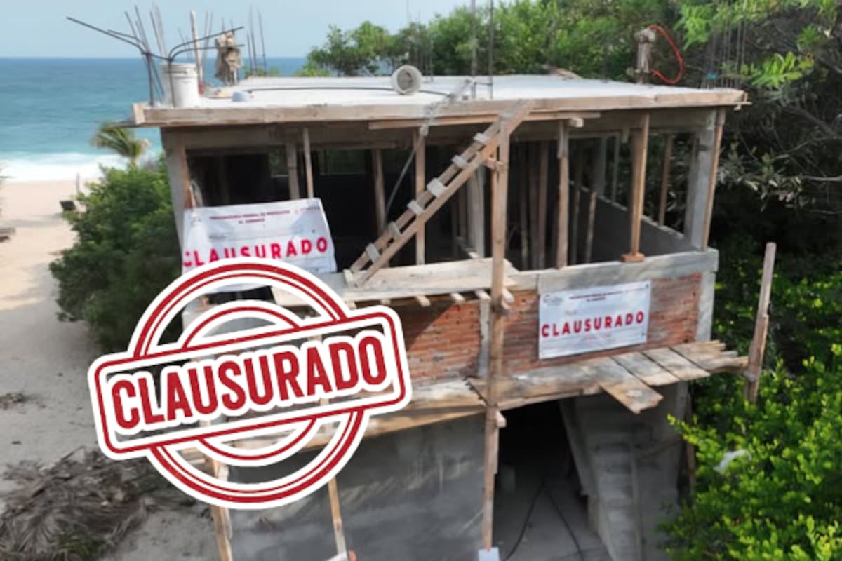 Clausuran obras en playas de Oaxaca por dañar manglares protegidos: más de 2 mil m² afectados