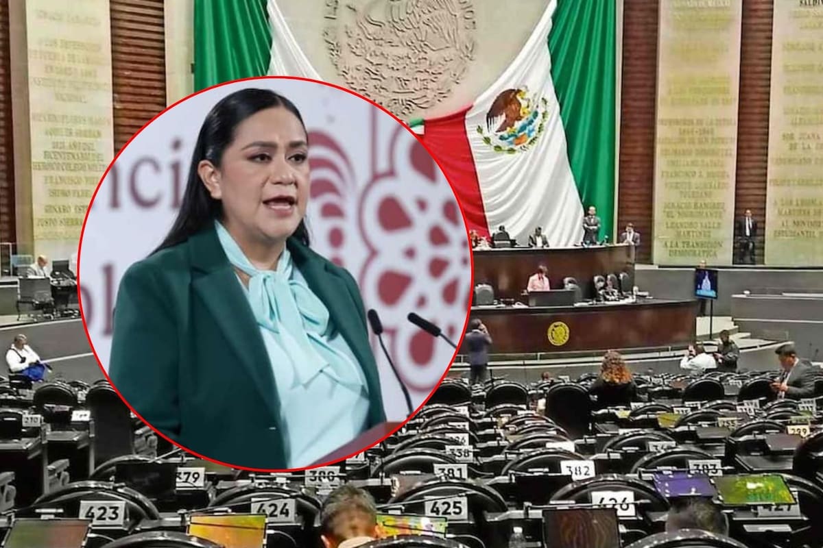 Diputados posponen comparecencia de Ariadna Montiel por emergencia en estados afectados por lluvias