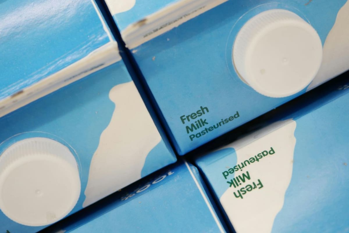 Antes de desechar tus cajas de leche, conoce las 3 ideas japonesas que las transforman en organizadores útiles para ahorrar espacio en casa