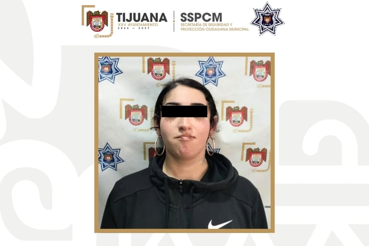 Aseguran a mujer por actos de vandalismo