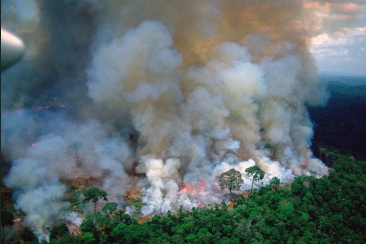 Brasil niega omisión en combate a la creciente deforestación de Amazonía
