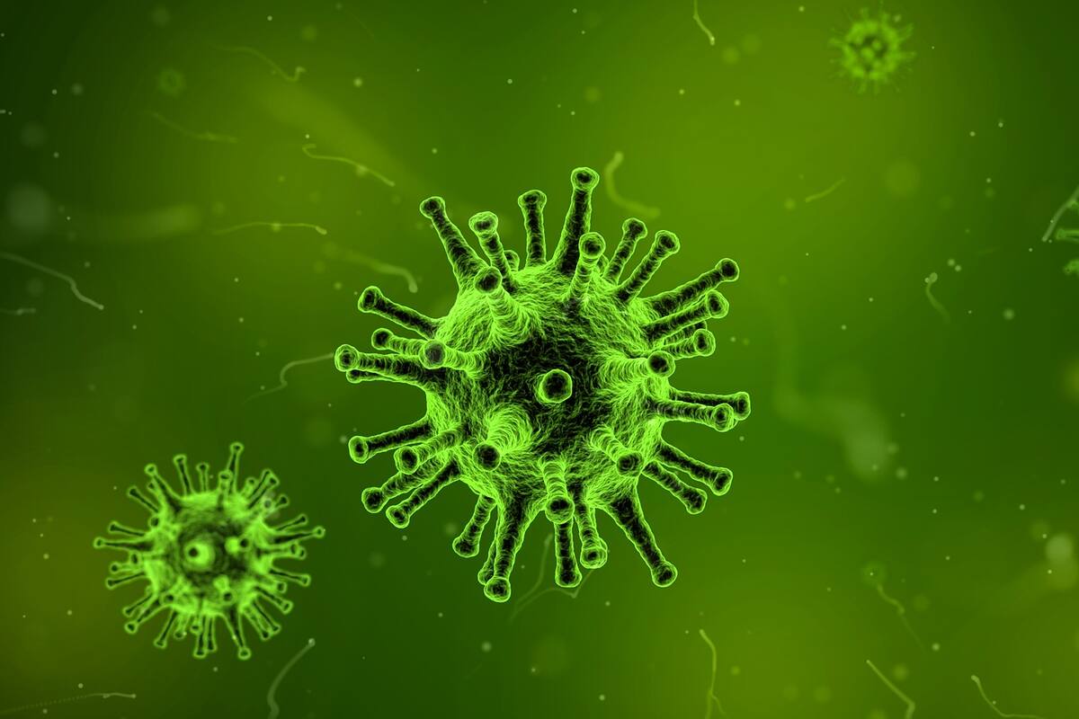 Conferencia sobre coronavirus en México
