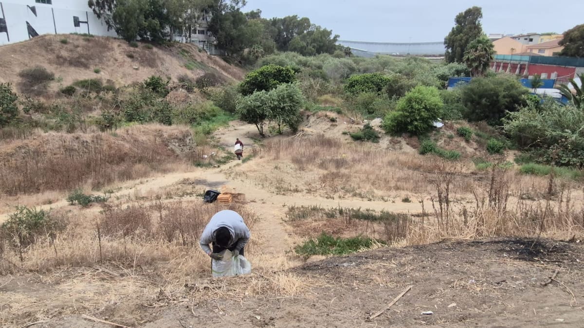 Autoridades y ambientalistas iniciaron labores para recuperar el Parque de Los Sauces Norte, retirando basura, plantas invasoras y asentamientos irregulares.
Fotos: Khennia Reyes.