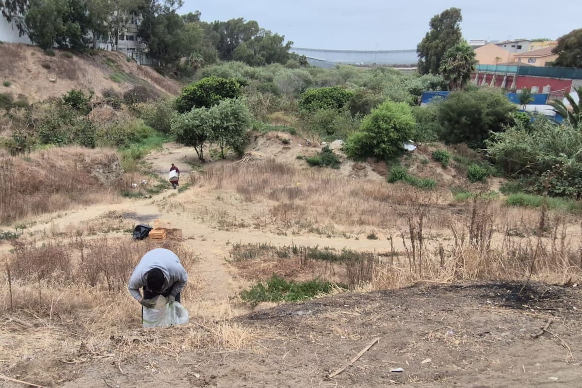 Inician rescate del Parque de Los Sauces, uno de los últimos pulmones verdes de Tijuana