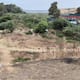 Inician rescate del Parque de Los Sauces, uno de los últimos pulmones verdes de Tijuana