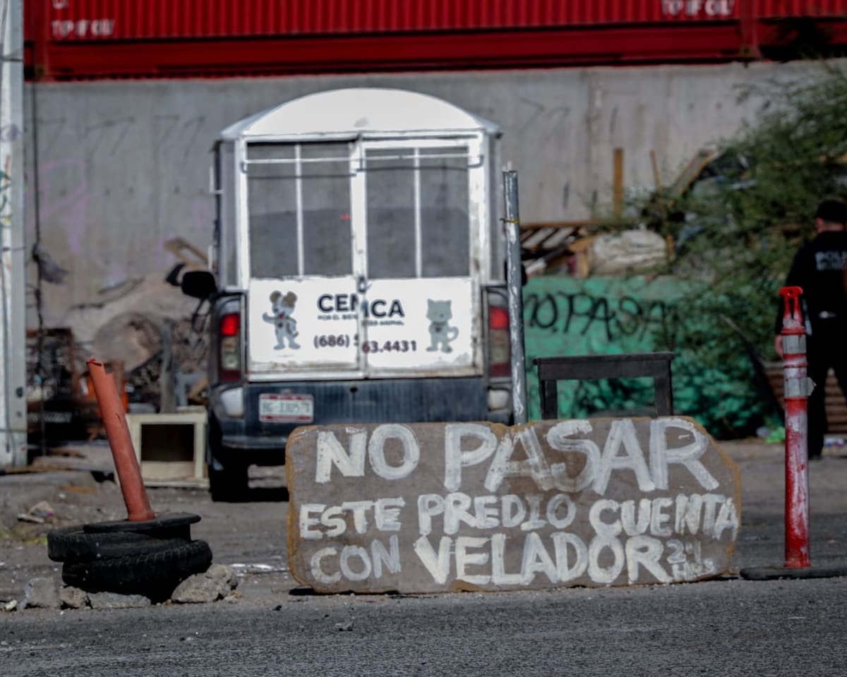 Precisaron que son alrededor de 17 perros los que habitan en el terreno junto con una persona en situación de calle que invadió el lugar.│Foto: Javier Gallegos