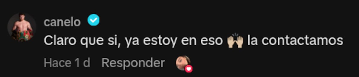 'Canelo' contestó en los comentarios del video. (Foto: Captura de pantalla)