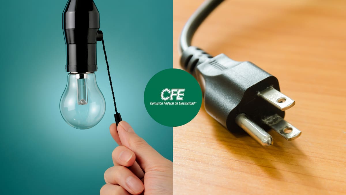 CFE. Foto: Canva