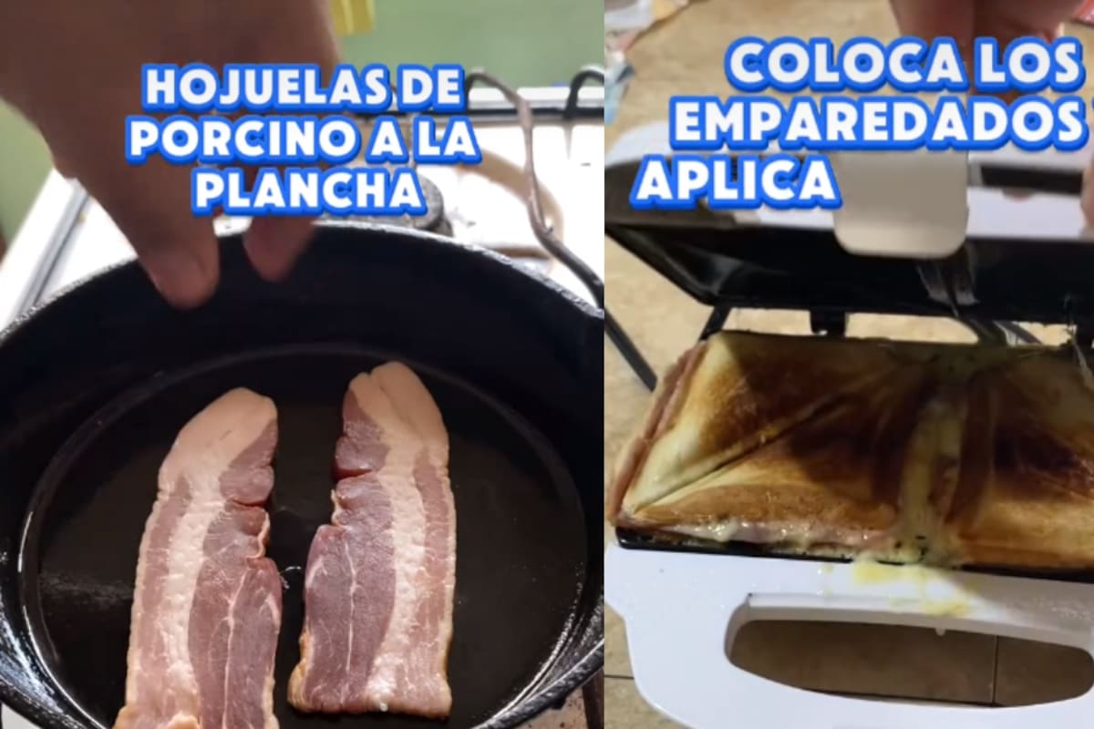 Usuario narra su desayuno con voz de Discovery Channel