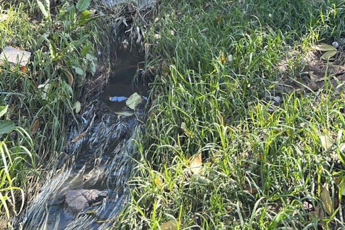 Denuncian derrames de aguas negras en el Poblado Morelos, en Rosarito