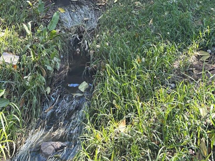 Denuncian derrames de aguas negras en el Poblado Morelos, en Rosarito