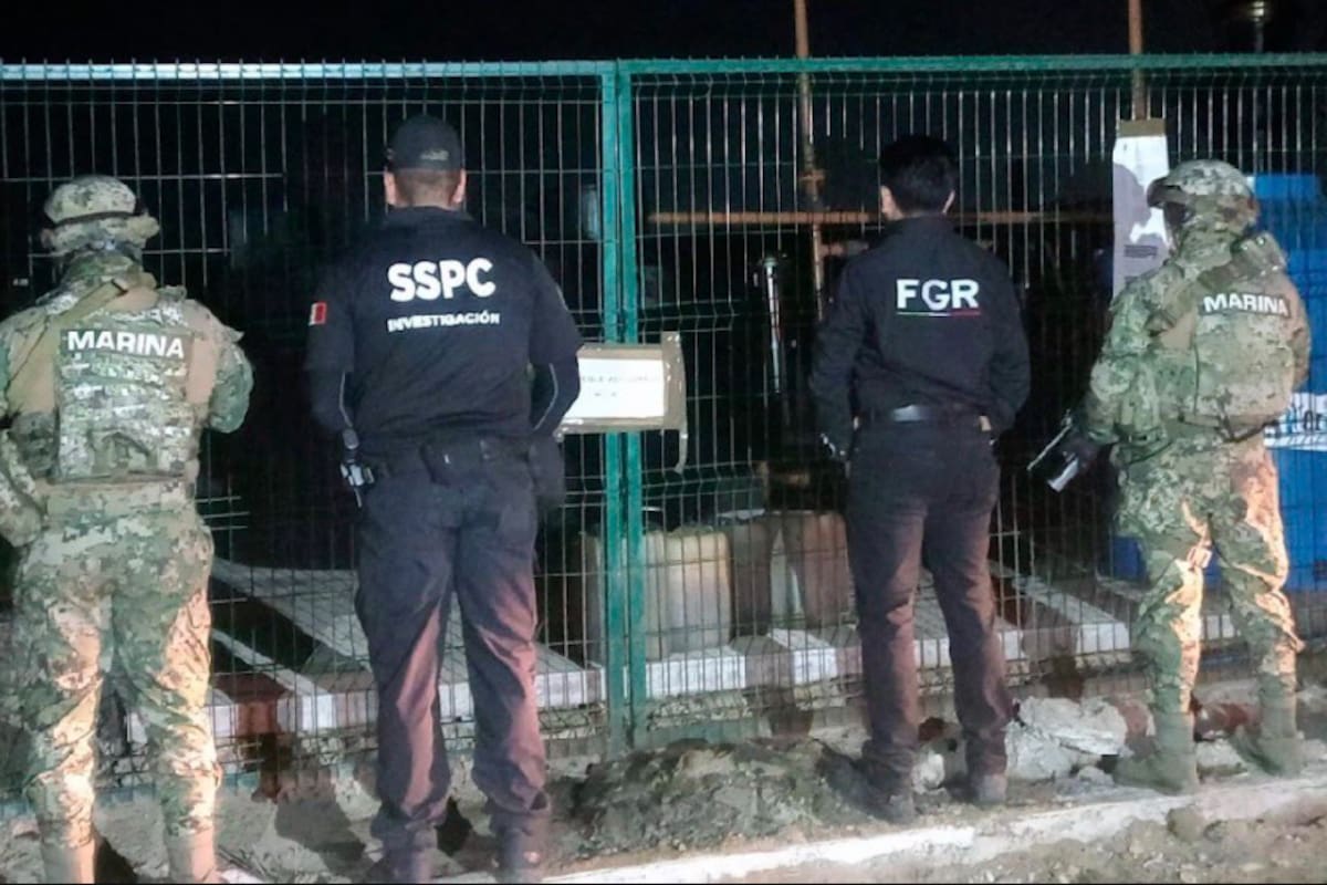 Un camello y hasta bisontes son los animales que figuran entre los 135 animales exóticos asegurados en Tamaulipas