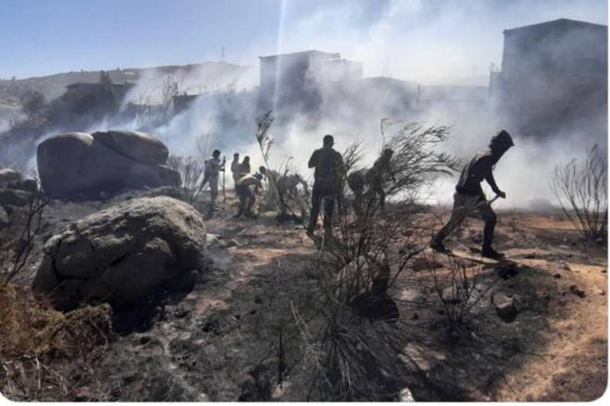Aplica Ejército Plan DN-III en Tecate por incendios forestales