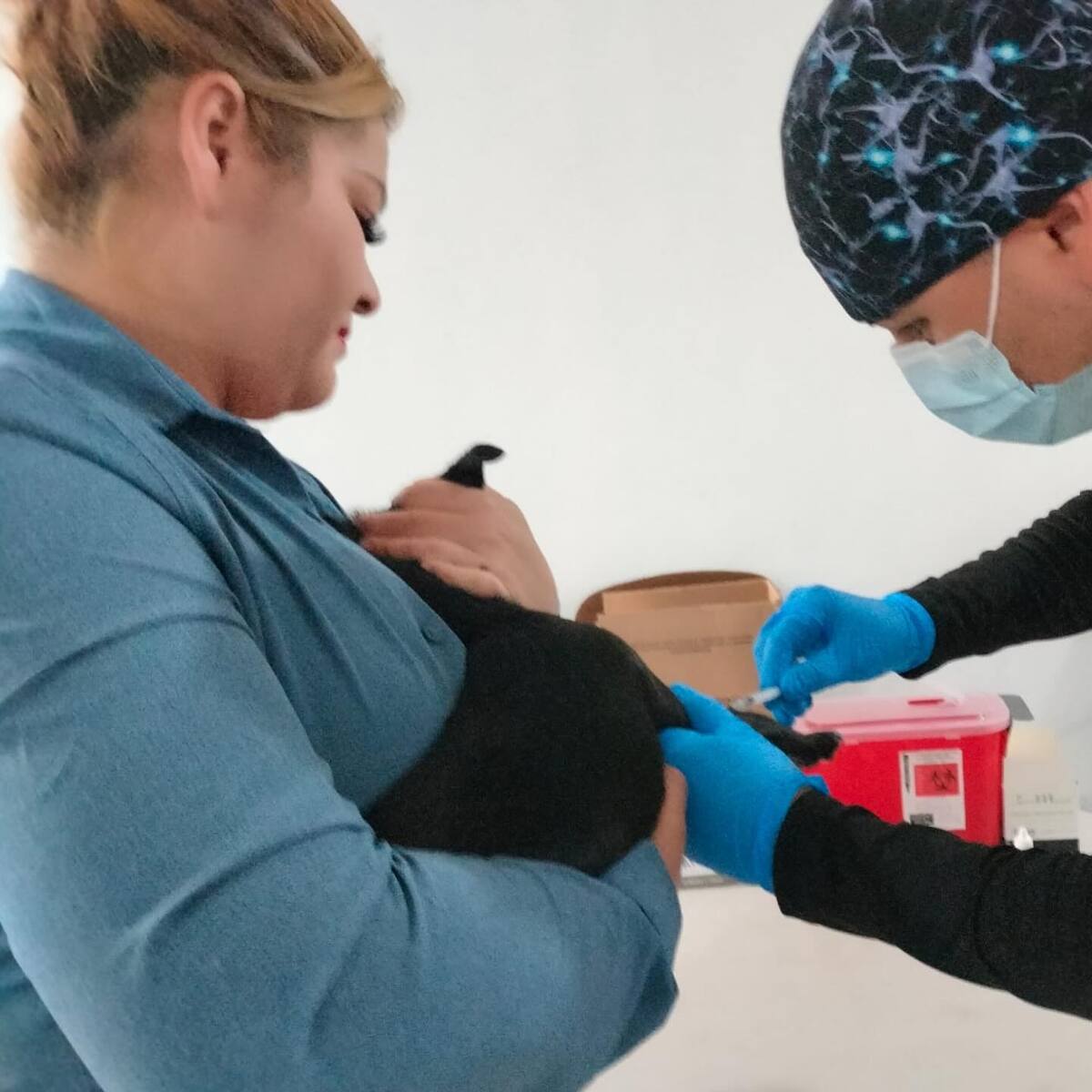 Vacunación antirrabica / Dirección General de Protección y Bienestar Animal del Estado de Sonora