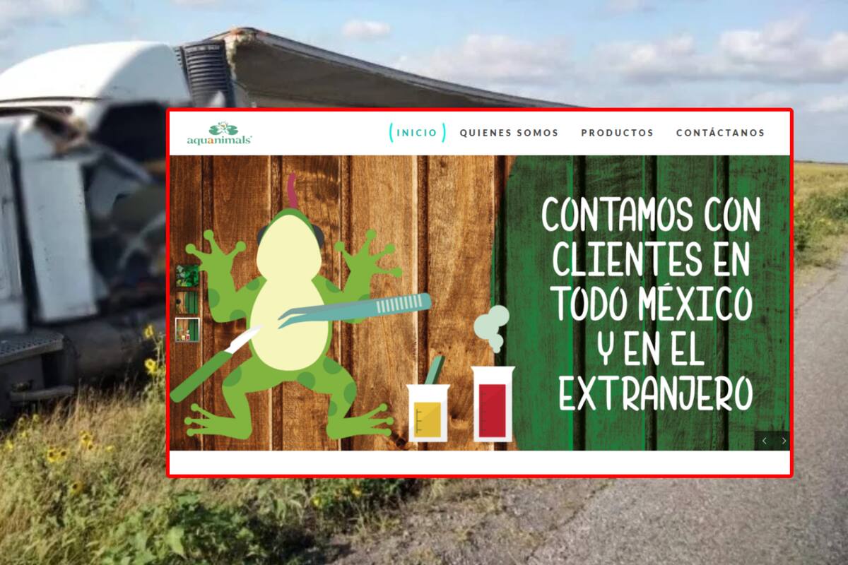 Aquanimals: ¿Qué se sabe del tráiler con perros y gatos muertos que AMLO ordenó investigar?