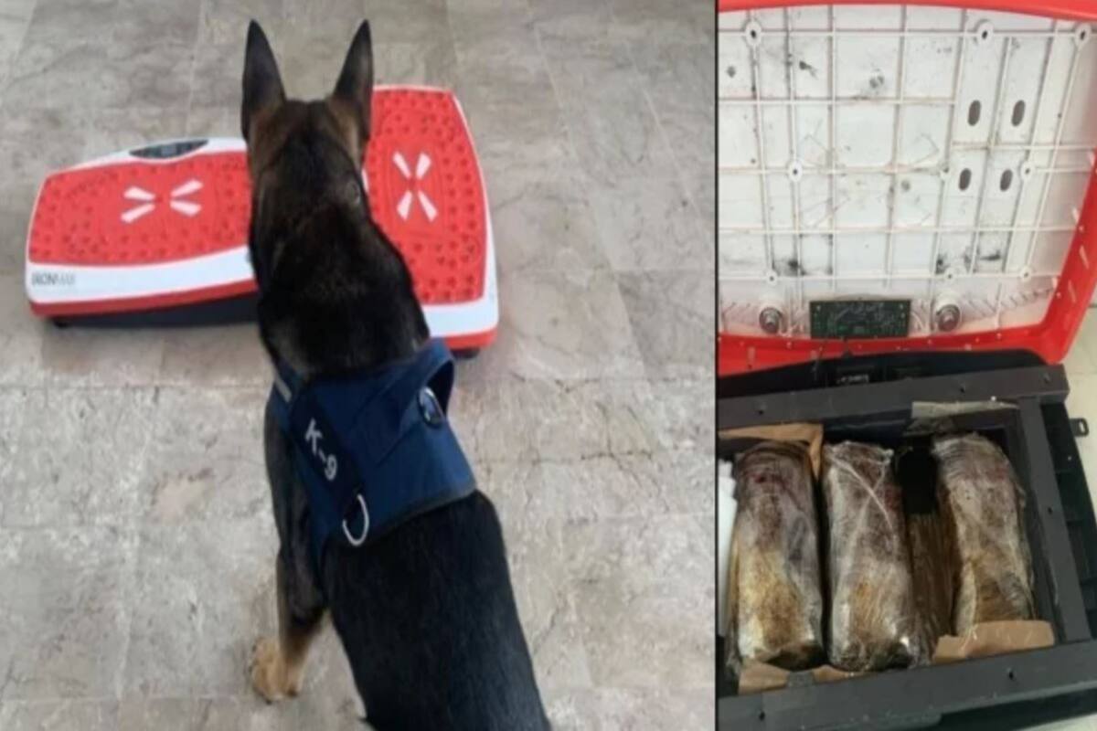 Aseguran droga escondida en vibradores fitness en auropuerto de Culiacán