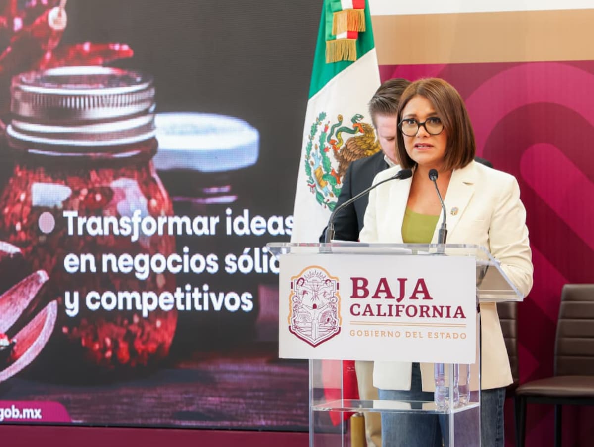 El programa Sabores del Campo otorgará apoyos económicos para fortalecer proyectos agroalimentarios; la convocatoria estará abierta hasta el 17 de julio.
Fotos: Cortesía.