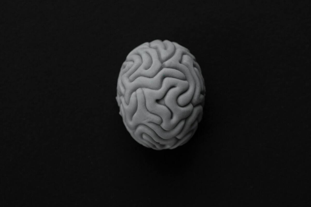 Ejercicios para entrenar y fortalecer el cerebro