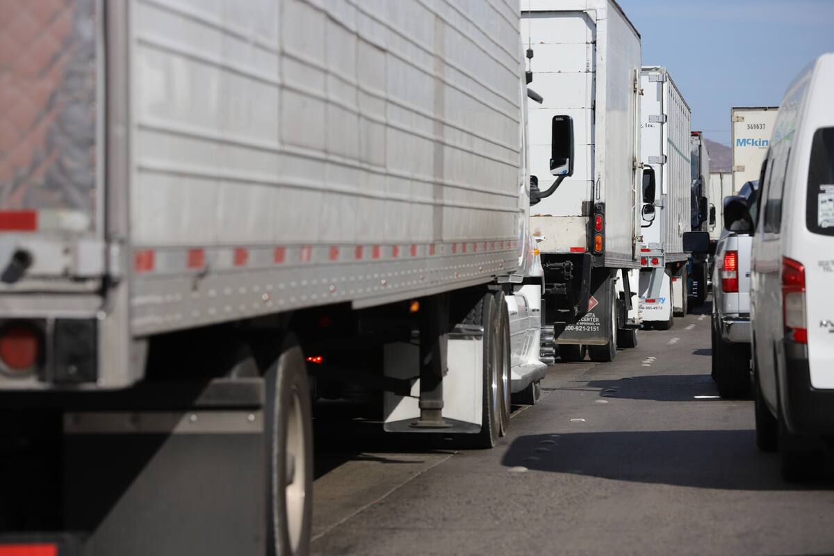 Reportan 12 intentos de cruces ilegales en carril de exportación