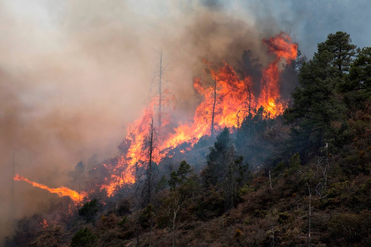 Incendio forestal en el Noreste de México acumula 12 mil hectáreas afectadas; investigan a 5 personas