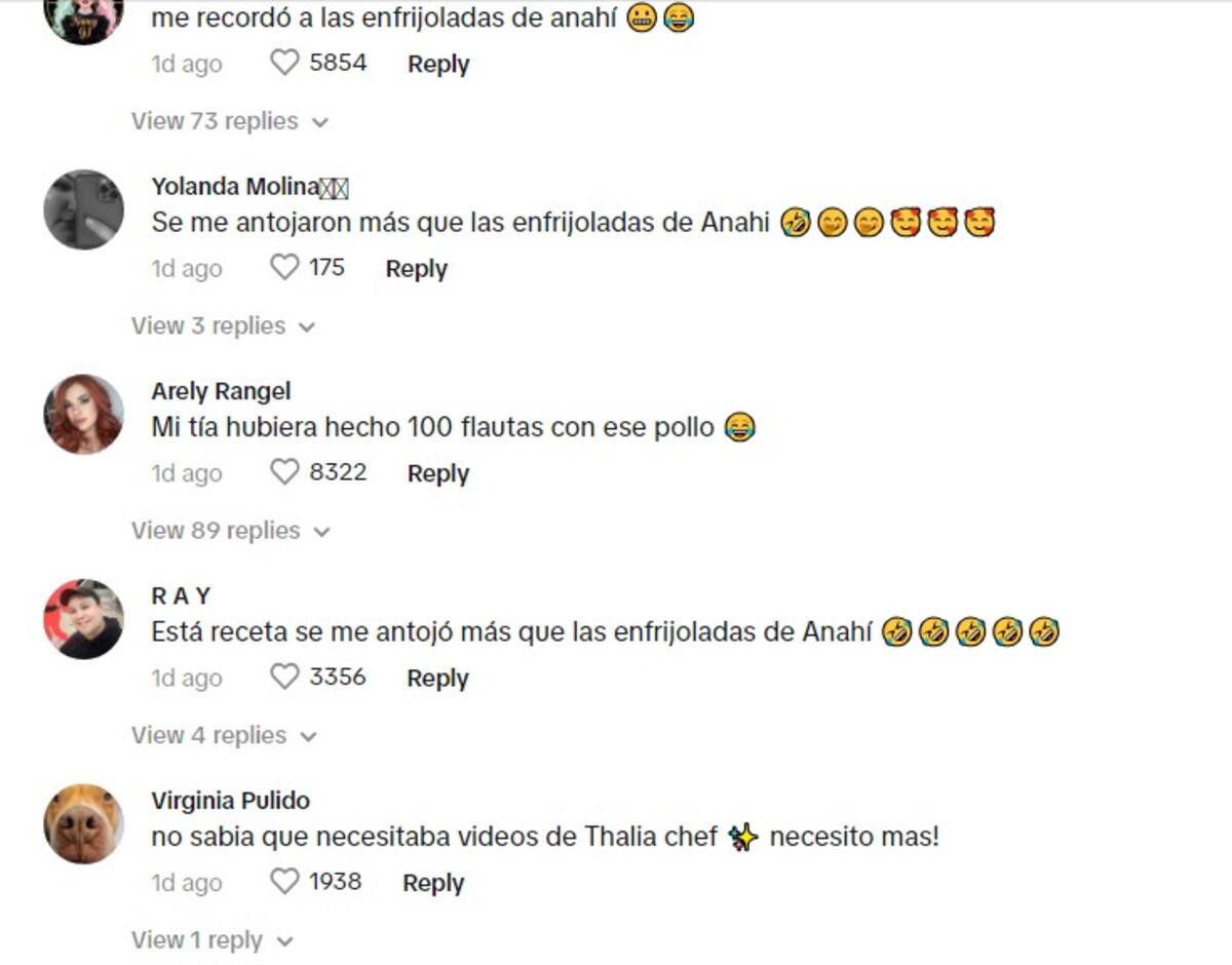 La receta de Thalía fue bien recibida por sus seguidores / TikTok: @thalia