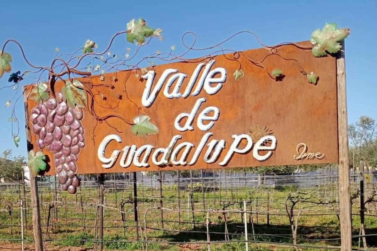 Valle de Guadalupe está en pie de lucha para recuperar al turismo: Provino