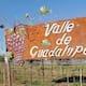 Valle de Guadalupe está en pie de lucha para recuperar al turismo: Provino