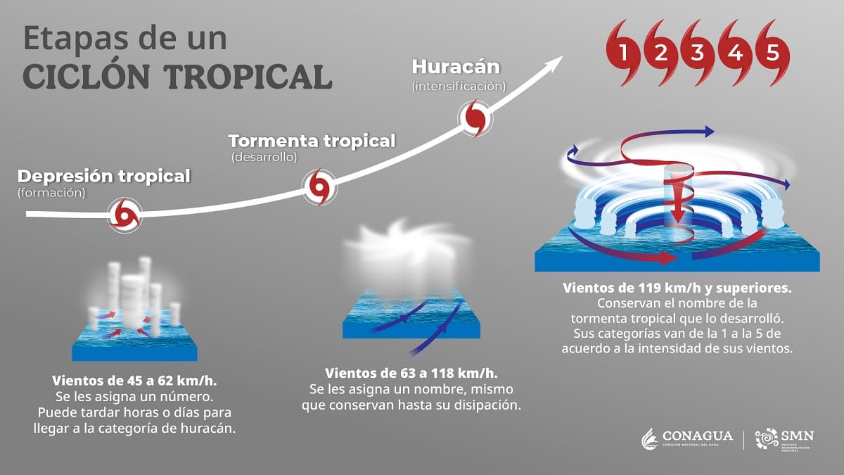 Estapas de un ciclón tropical. | Foto: SMN
