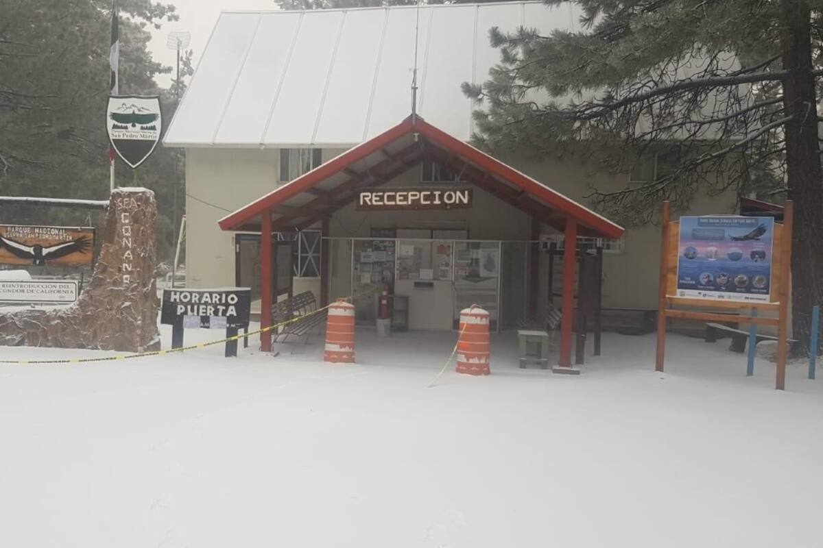 Cierran Parque Nacional de San Pedro Mártir por nevada