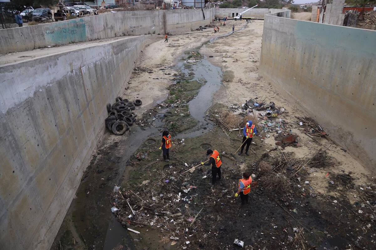 Pone Costa Salvaje malla en Los Laureles para atrapar basura