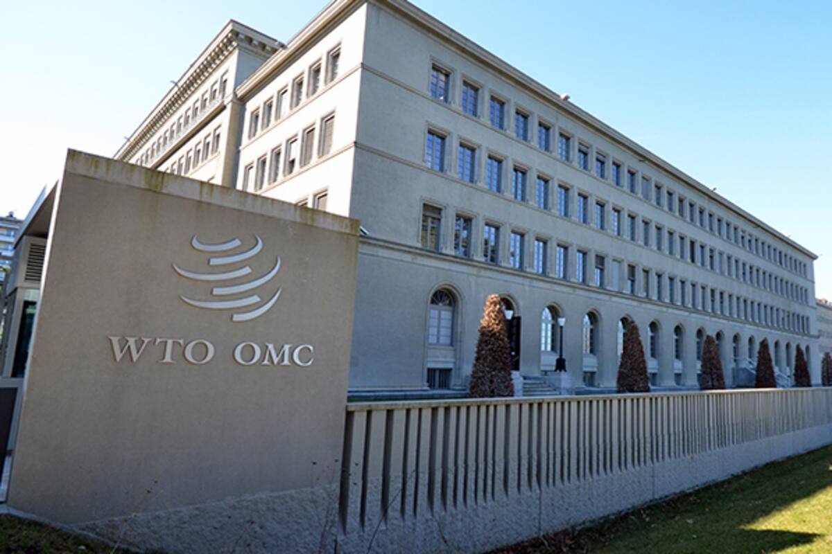 OMC sin consenso para elegir a nuevo director general interino