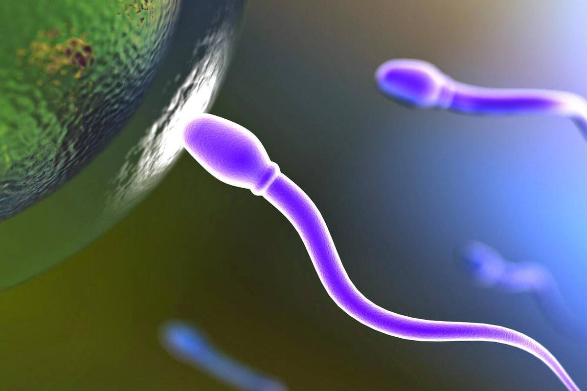 Estrés al inicio del embarazo se relaciona con esperma de peor calidad
