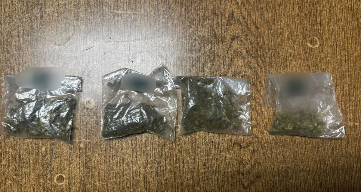 La detención ocurrió este viernes en el cruce de las calles Juárez y Altamirano, donde localizaron entre su ropa cuatro bolsas de plástico que contenían mariguana. Foto: Cortesía