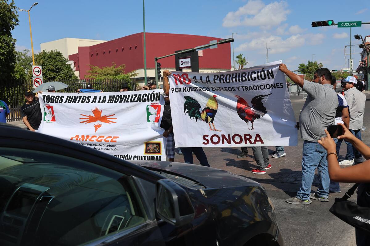 Realizarán hoy marcha en contra de la Ley Animal en Sonora