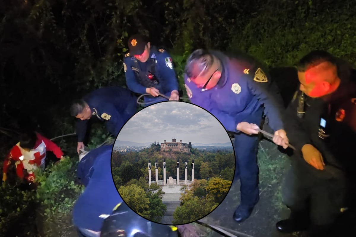 4 menores cayeron de un barranco en el Bosque de Chapultepec