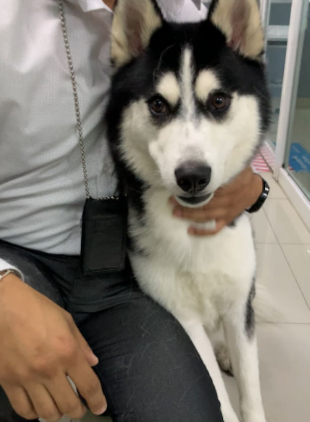 Foto: Fiscalía de Jalisco.