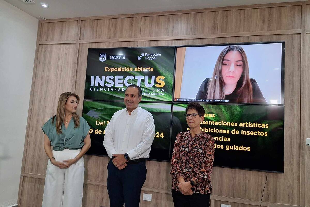 Exposición INSECTUS estará en el Parque Madero del 13 de octubre al 10 de noviembre