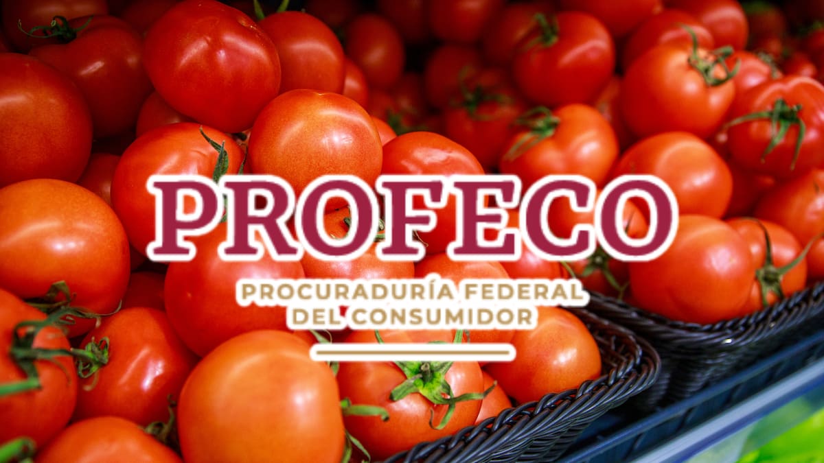 El tomate sigue bajando de precio tras superar los 57 pesos por kilo en mayo: En la primera semana de junio el promedio nacional fue de 44.66 pesos, aunque en centrales de abasto se encontró hasta en 25.57 pesos, según Profeco