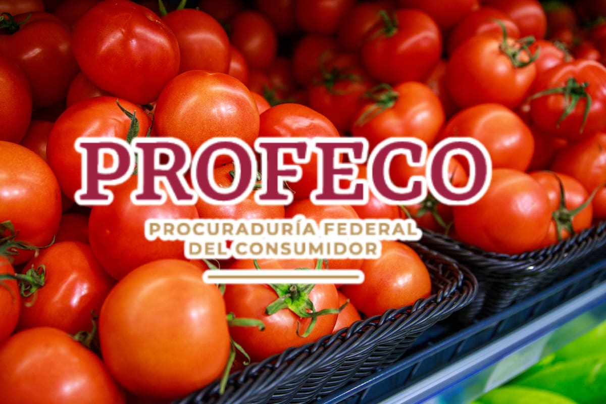 El tomate sigue bajando de precio tras superar los 57 pesos por kilo en mayo: En la primera semana de junio el promedio nacional fue de 44.66 pesos, aunque en centrales de abasto se encontró hasta en 25.57 pesos, según Profeco