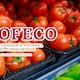 El tomate sigue bajando de precio tras superar los 57 pesos por kilo en mayo: En la primera semana de junio el promedio nacional fue de 44.66 pesos, aunque en centrales de abasto se encontró hasta en 25.57 pesos, según Profeco