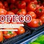 El tomate sigue bajando de precio tras superar los 57 pesos por kilo en mayo: En la primera semana de junio el promedio nacional fue de 44.66 pesos, aunque en centrales de abasto se encontró hasta en 25.57 pesos, según Profeco