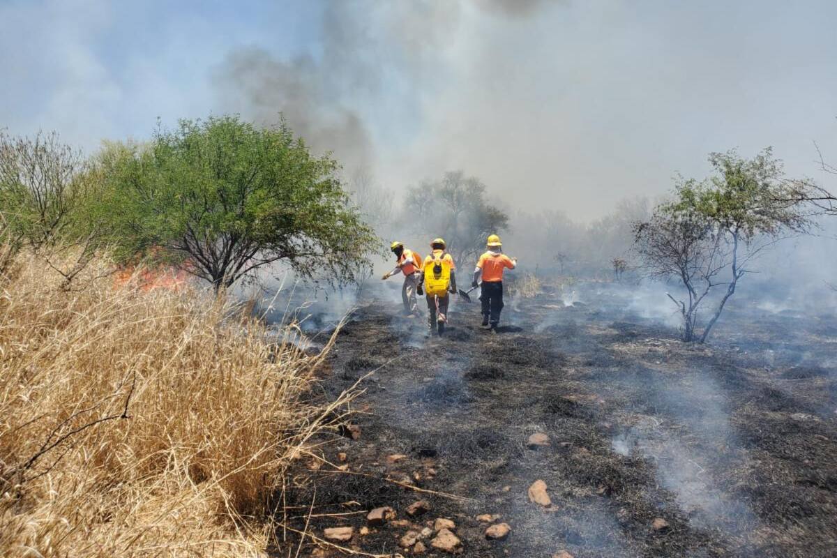 En Sonora se han registrado al menos 15 incendios forestales en lo que va del 2025