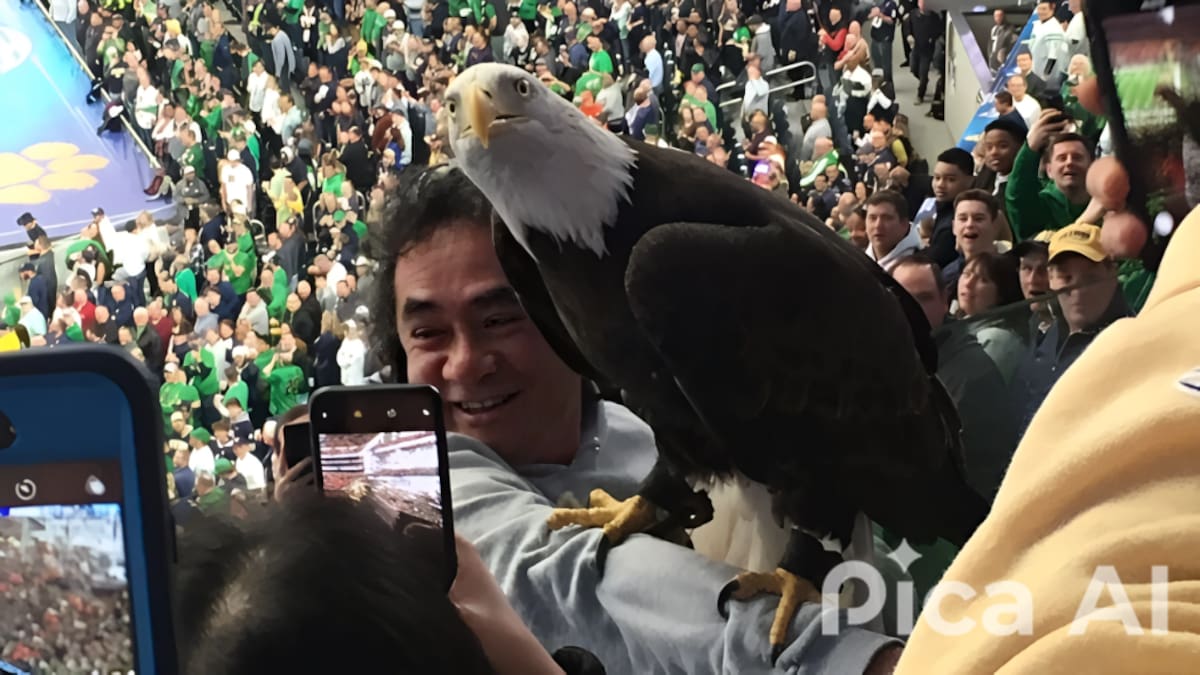 Imagen tomada del sitio https://www.bardown.com/